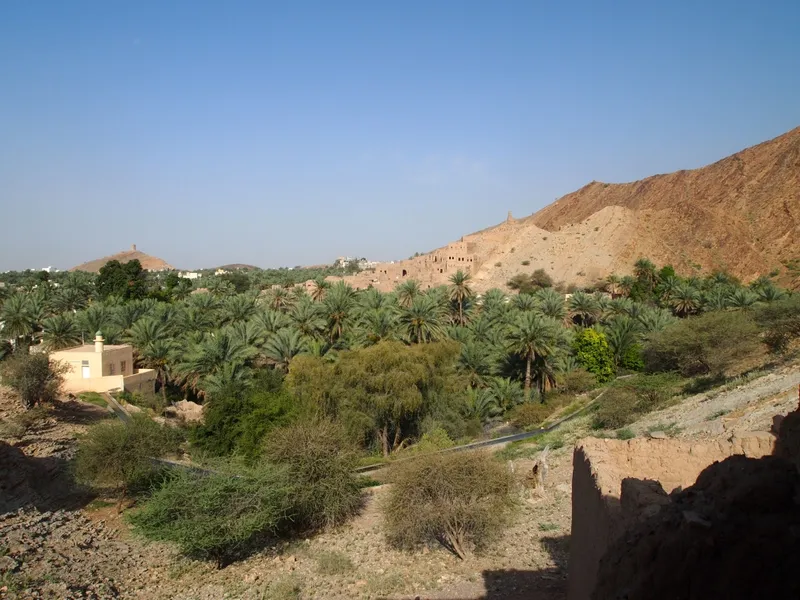 Birkat Al Mouz Ruins