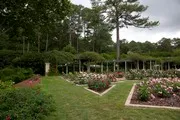 Birmingham Botanical Gardens