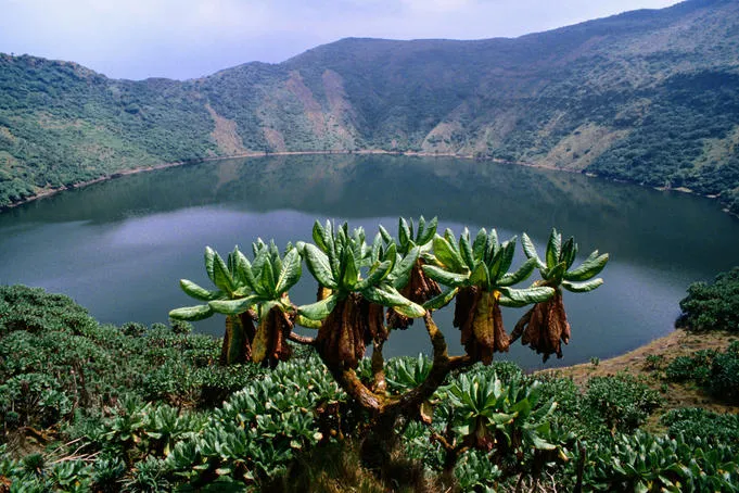 Bisoke Crater Lake