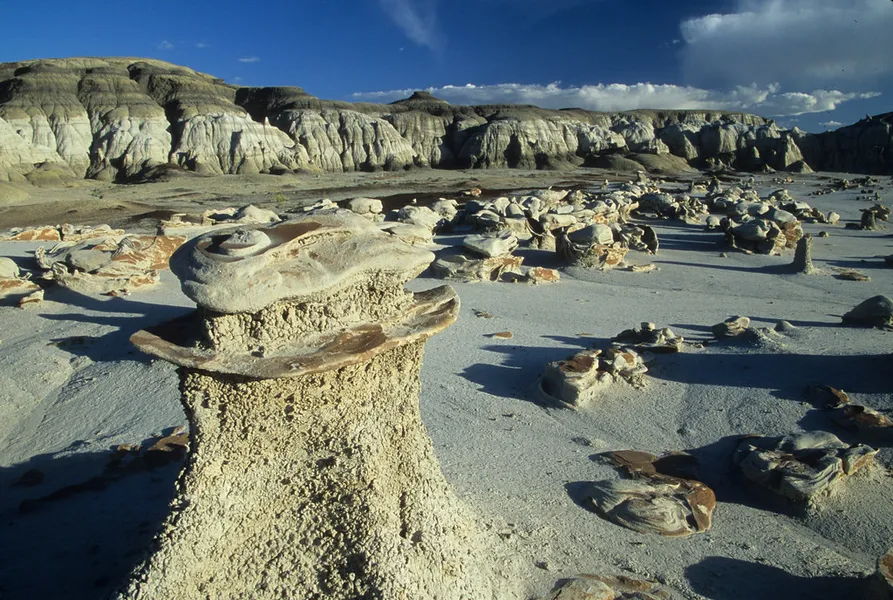 Bisti/De-Na-Zin Wilderness