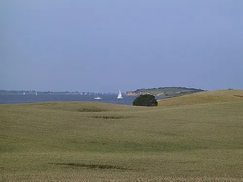 Bjørnshøj