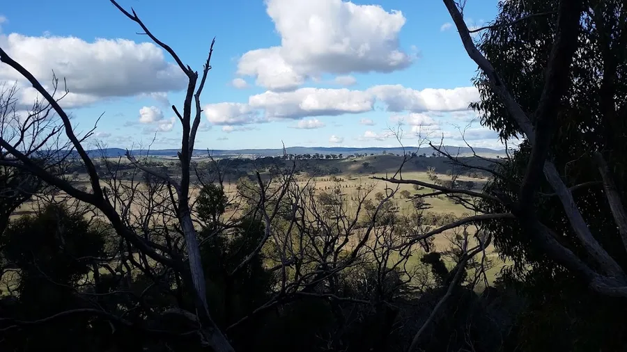 Black Hill Reserve