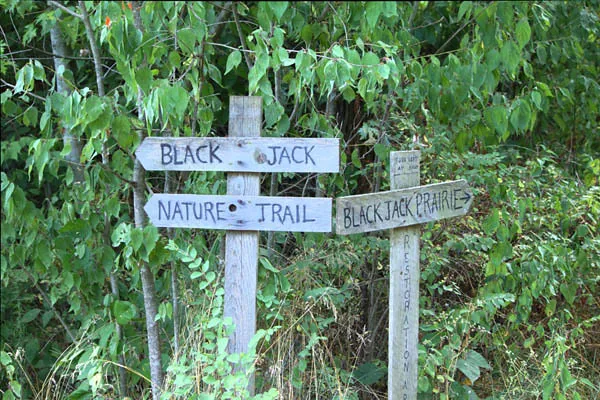 Black Jack Battlefield and Nature Park