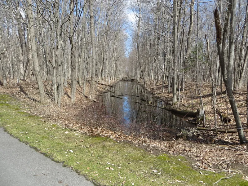 Black River Canal Park