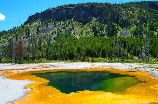 Black Sand Basin
