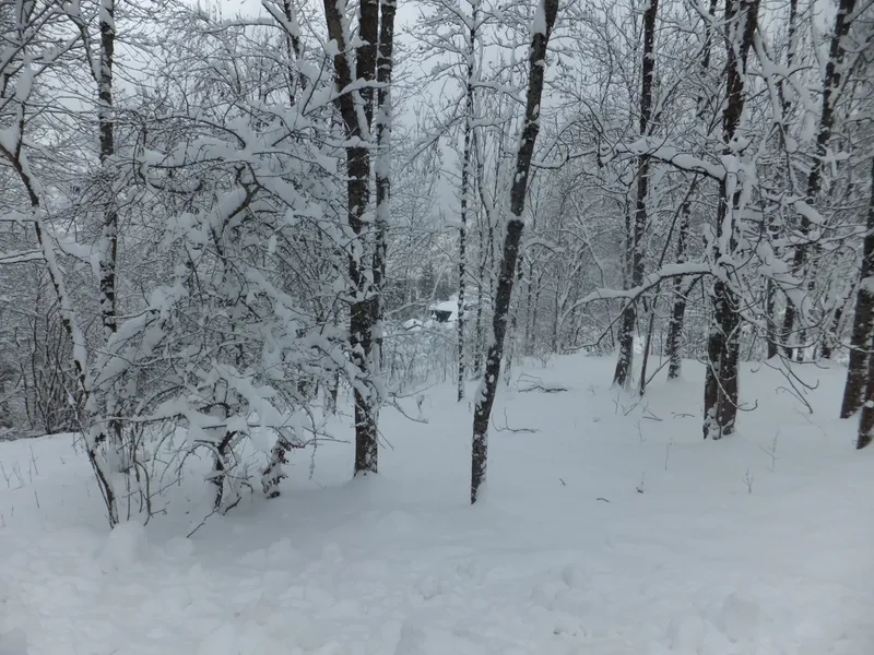 Blackburn Hamlet Trail