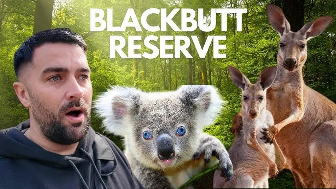 Blackbutt Reserve