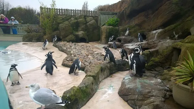 Blackpool Zoo