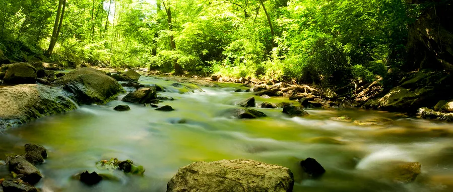 Blackwater Creek Natural Area