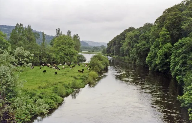 Blackwater River