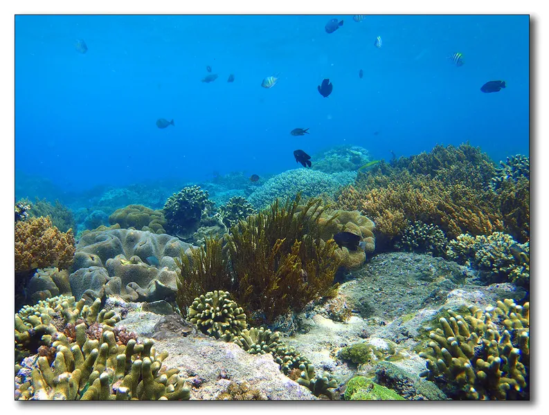Bloo Lagoon Dive