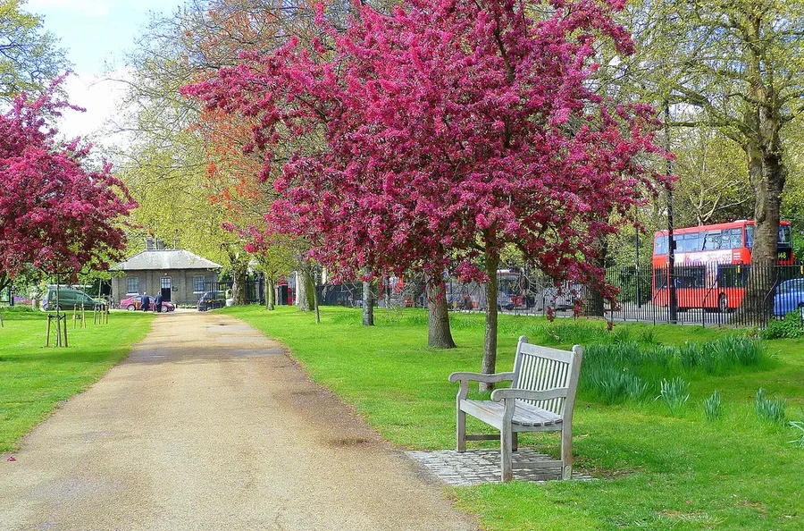 Blossom Hydel Park