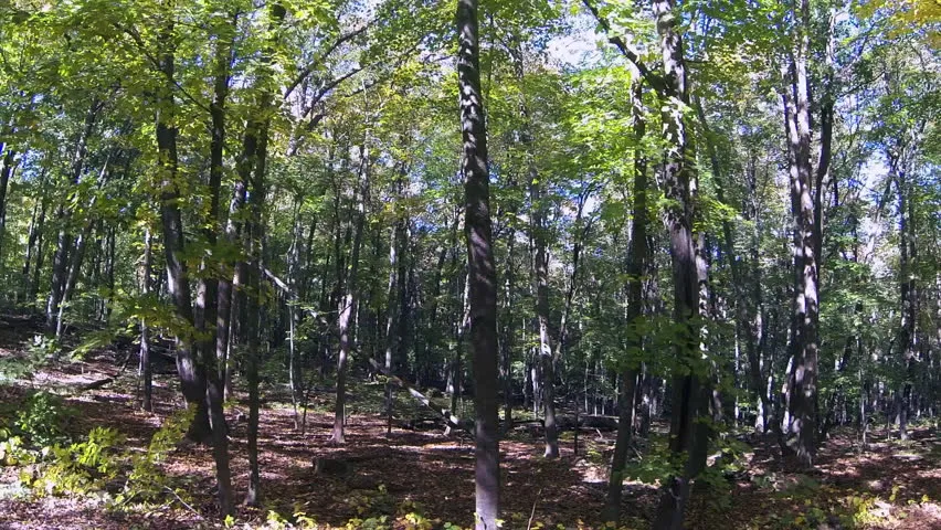 Blue Mound State Park