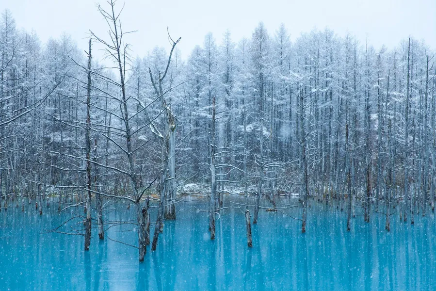 Blue Pond