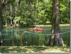 Blue Run of Dunnellon Park