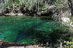 Blue Spring State Park
