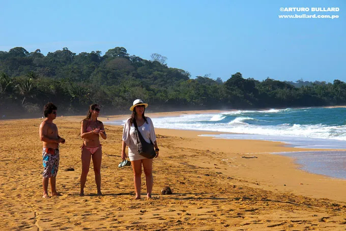 Bluff Beach