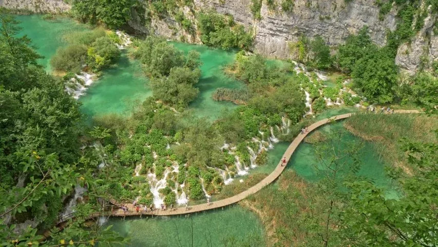 Boardwalks through the park
