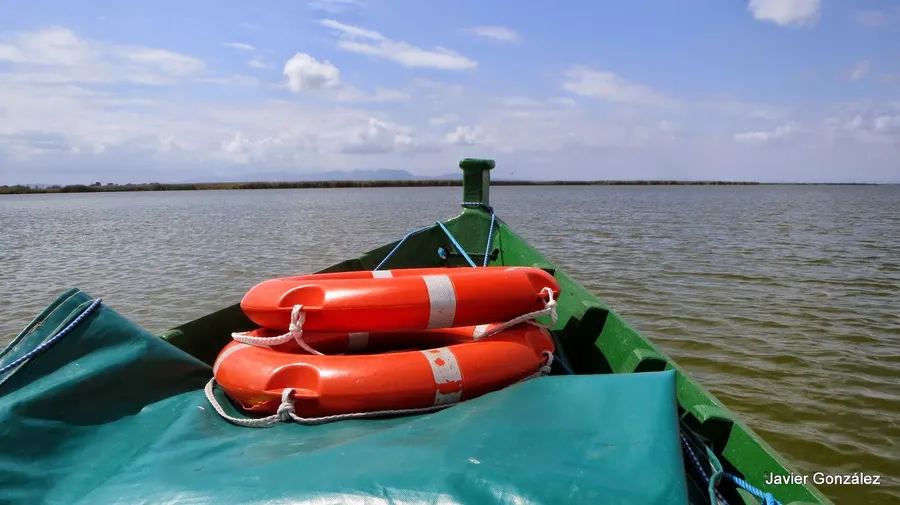 Boat Tour at Albufera Natural Park