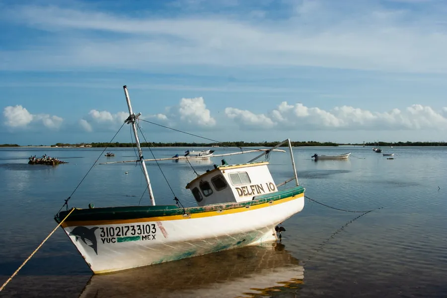 Boat Tours of the Ría Lagartos