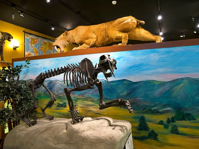 Bob Campbell Geology Museum