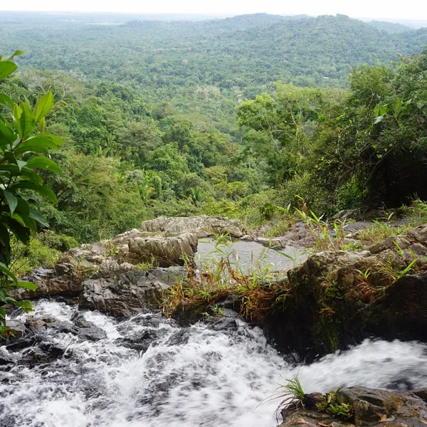 Bocawina National Park