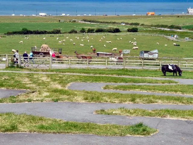 Bodafon Farm Park