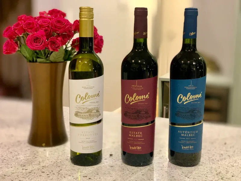 Bodega Colomé