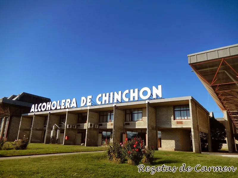 Bodegas