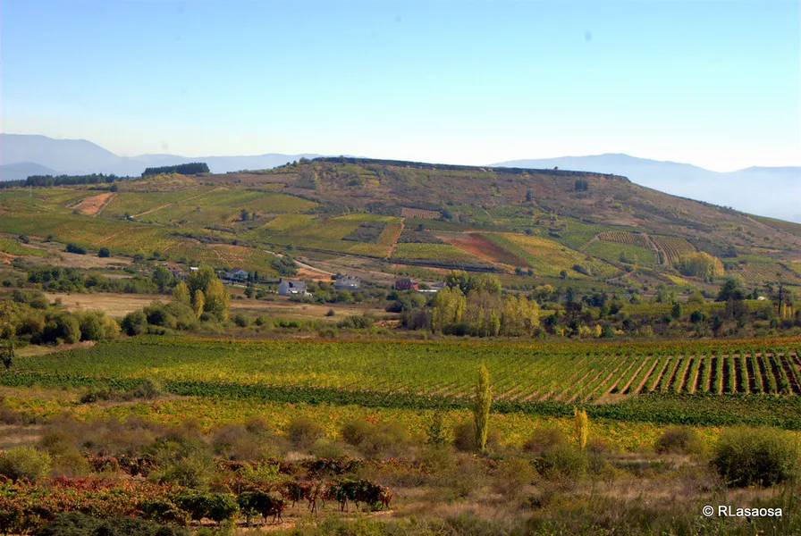 Bodegas Pittacum