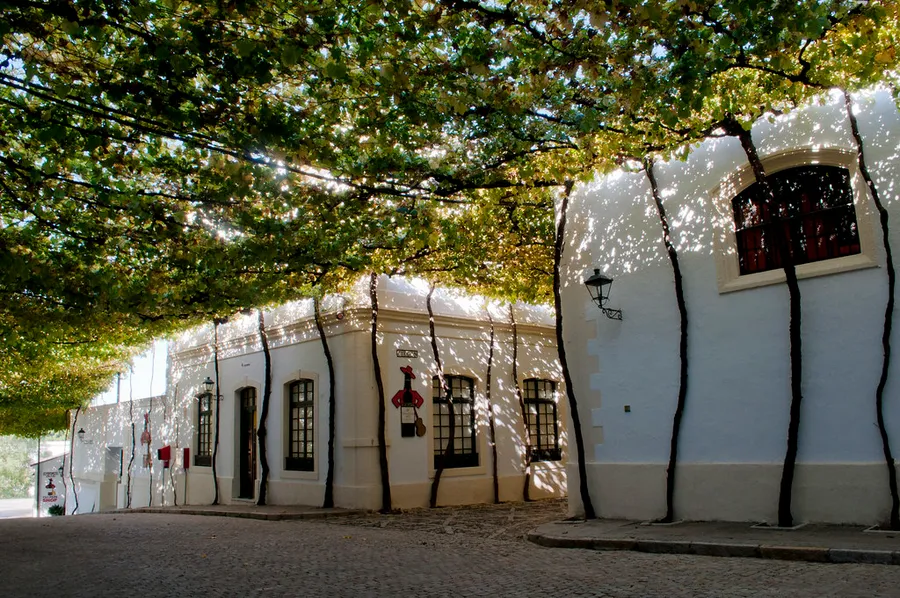 Bodegas Tio Pepe