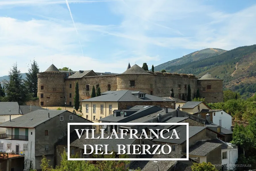 Bodegas y Viñedos