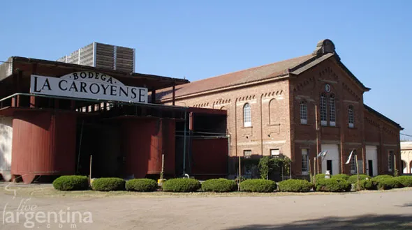 Bodegas y Viñedos de Colonia Caroya