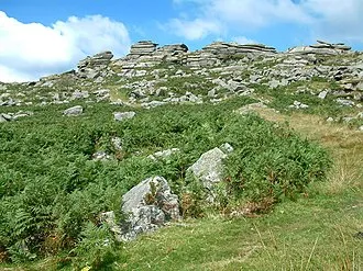 Bodmin Moor