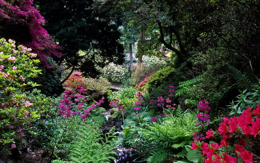 Bodnant Garden
