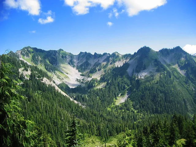 Bogachiel State Park
