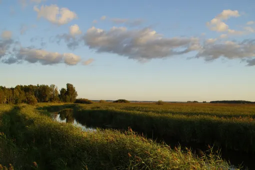 Bogesundslandet Nature Reserve