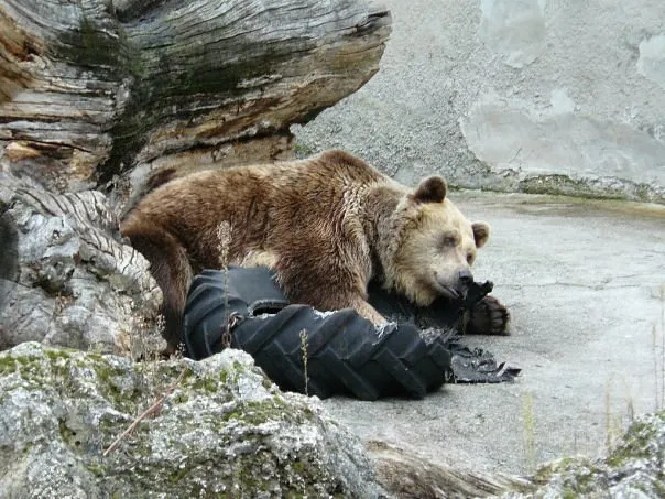 Bojnice Zoo