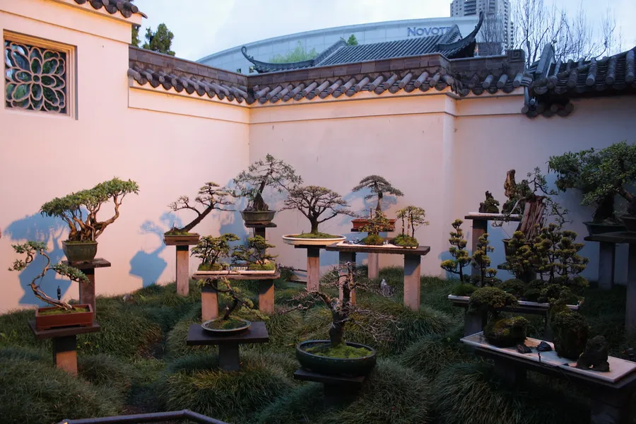Bonsai Garden