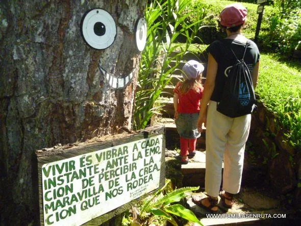 Boquete Tree Trek