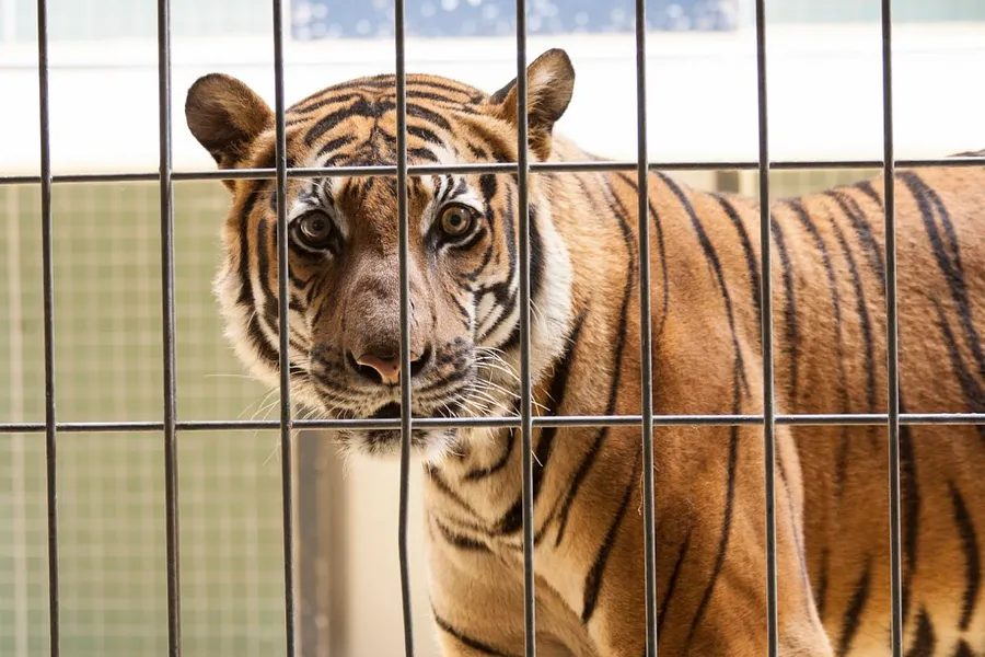 Borås Zoo
