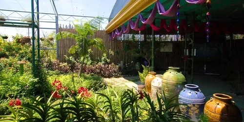Boracay Butterfly Garden