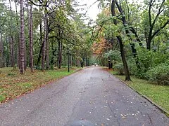 Borisova Gradina Park