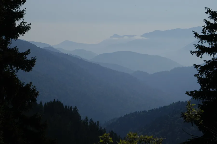 Borjomi-Kharagauli National Park
