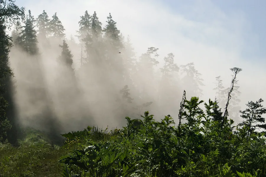 Borjomi-Kharagauli National Park