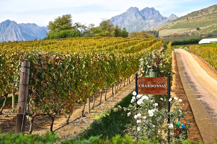 Boschendal Wine Estate