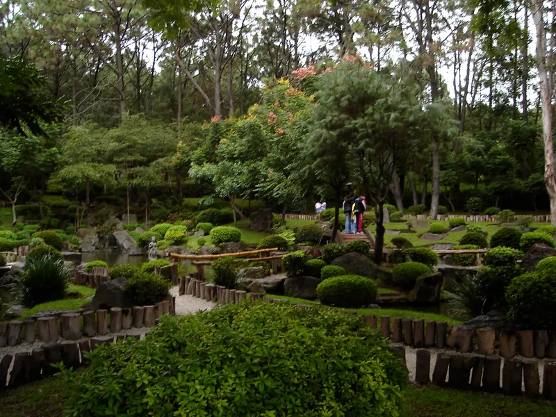 Bosque Colomos
