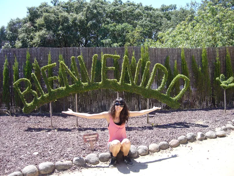 Bosque Encantado
