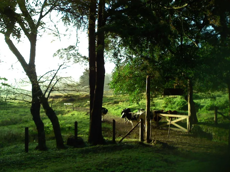 Bosque de la Hoja