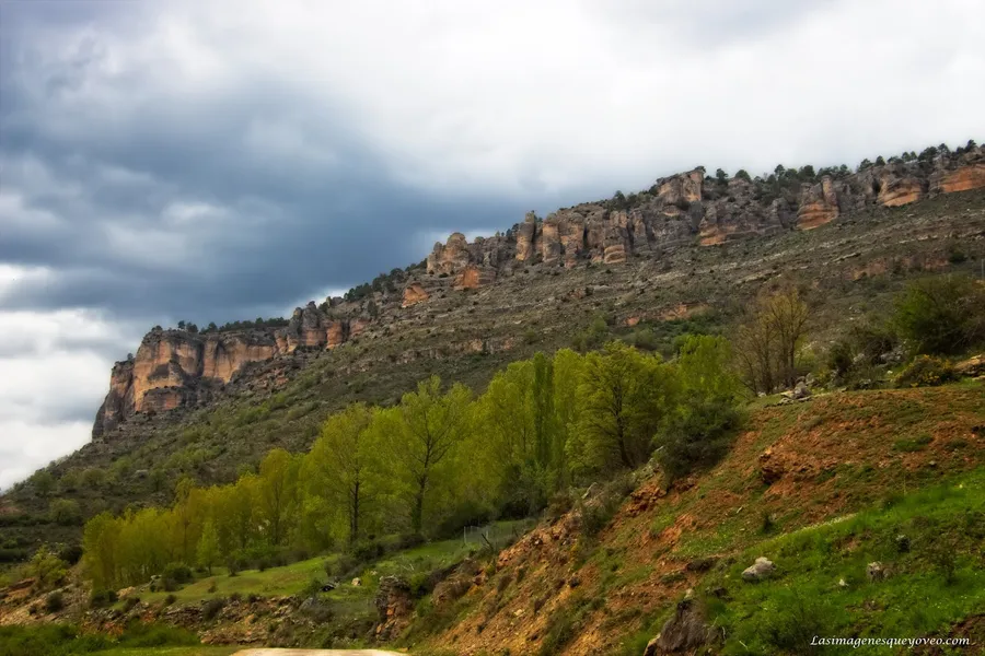 Bosque de las Truchas